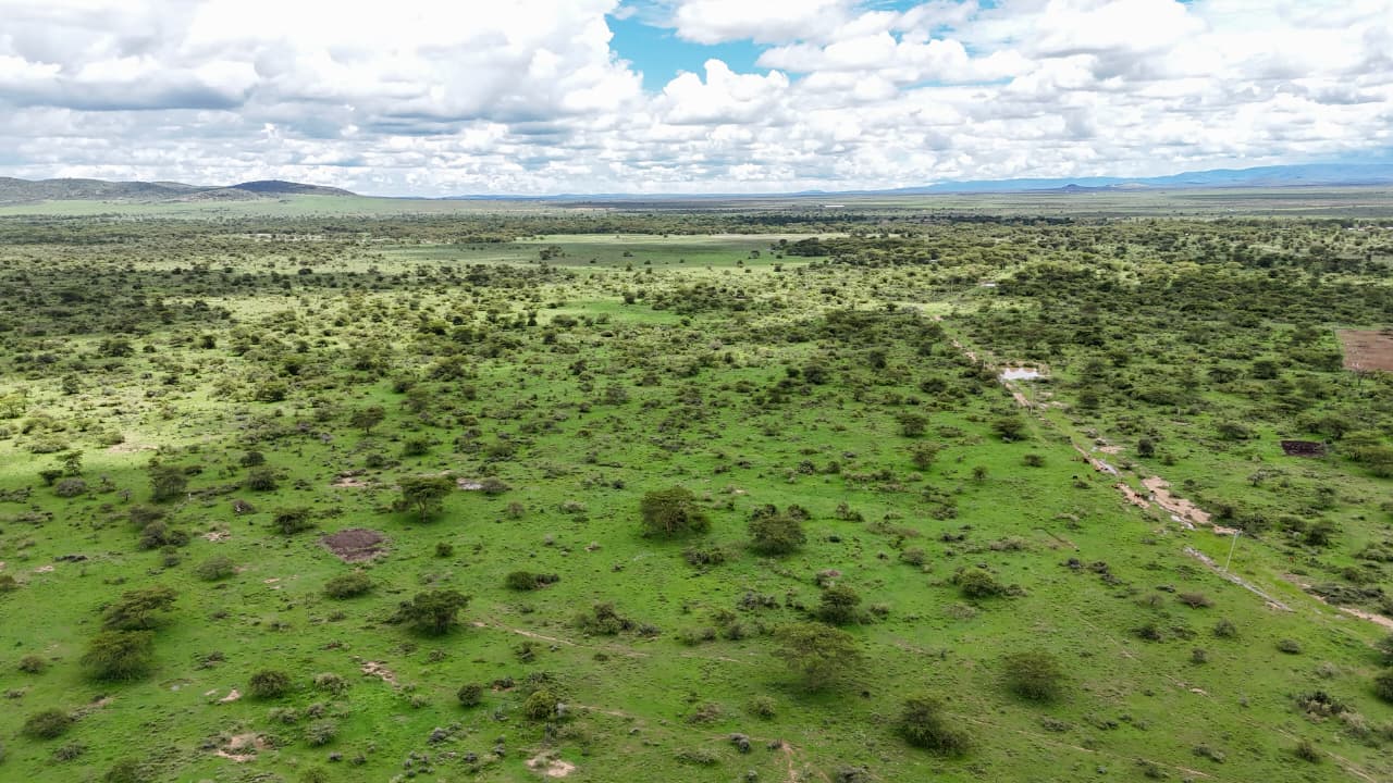 Maasai Mara game reserve