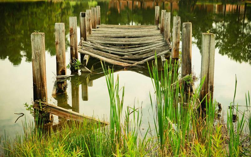 Bid Writing & Technical Proposal Development